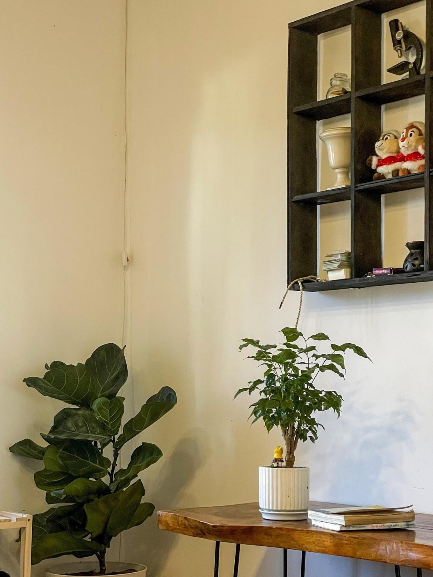 Hat De Homestay Da Lat Buitenkant foto
