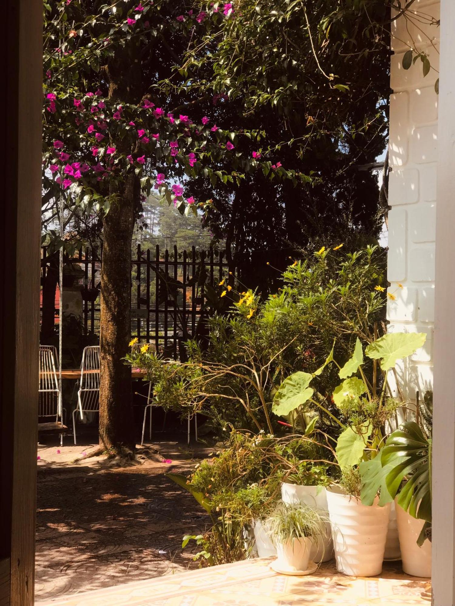 Hat De Homestay Da Lat Buitenkant foto